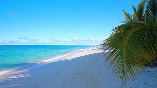🏝 Maldives & Ocean Waves. Ocean sounds for relaxation and sleep