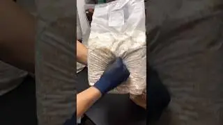 【節約】菌糸瓶を詰める方法 #クワガタ #飼育