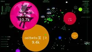 Agar.io - OMG VS French Squad - Summer Agario Tournament #SAT