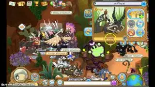 I SAW WOLFFEYCAT/ANIMALJAMMER330