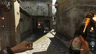 WTF Mala Molotov Glitch COD MW