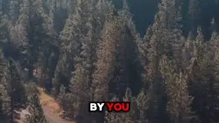 Это молитва, которая поможет вам вовлечь Бога во все, что вы делаете в 2026 году. #МолитваНа2026 ...