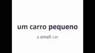 Portuguese Grammar: Adjective Positions