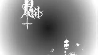 pest  Along the Path of the Fallen .wmv