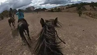 Horse Trail Ride at Pretty Sally Trail Rides