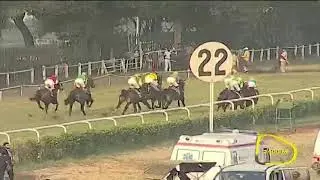 Adjudicate wins Calcutta Derby 2019
