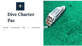 Miami Dive Charters &mdash; How to Book and What to Bring