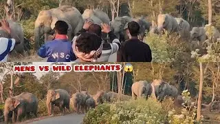 Men vs Wild Elephants 😨 | Assam Jungle Reality