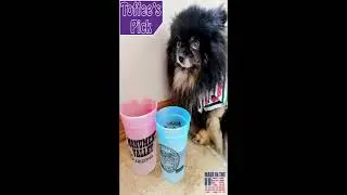 🐾 Toffee Pick of the Week | 2025 Year in Review