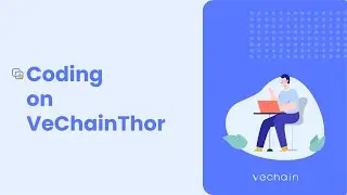 Coding on VeChainThor - Basic interaction with a VeChainThor Node