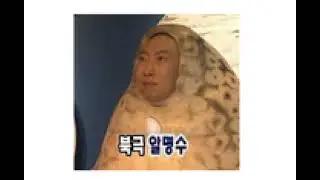 2025랜덤플레이댄스 최신유행 , 틱톡유행 인스타