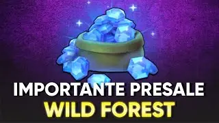 🚨 HOW TO BUY THE WF TOKEN IN PRESALE + POSSIBLE REDFLAG | Ronin Network