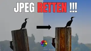 Wir retten ein JPEG - Fotoschnappschuss mit Darktable retten