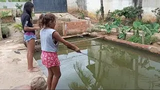 NÃO ACREDITEI QUANDO PEGUEI ESSE PEIXE NO ANZOL.