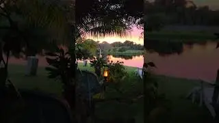 Quiet walk through a tropical garden