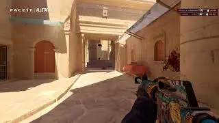 M4A1 ACE on Anubis