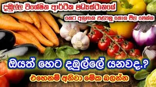 දඹුල්ල විශේෂිත ආර්ථික මධ්‍යස්ථානයේ අද මිල මෙහෙම වෙයිද.? | Dambulla Economics Center Vegetables Price