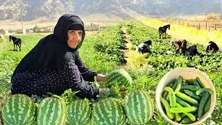 IRAN Village life: Woman's Hard Work in the Cucumber Field in the intense Summer Heat | ILAM