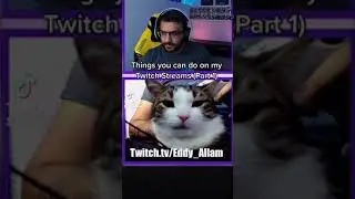 Things To Do On Twitch - Activate The Cat Cam!