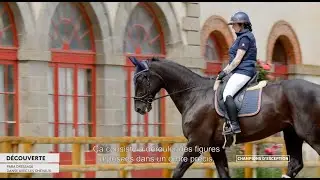 Découverte du para dressage - Champions d'Exception #51