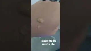bases reformuladas da nawts life novo designer.