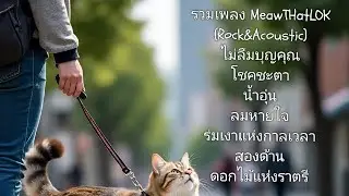 รวมเพลง ชีวิตมนุษย์ - MeawTHatlok (rock&acousic / ลดเสียงกลองเบาลง) | (รูปแมวน่ารัก) ฟังสบายชิวๆ 