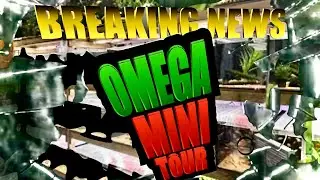 Omega pets aquatic store tour prequel