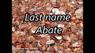 Last name ABATE meaning and origin