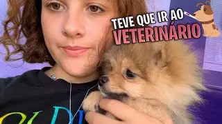 O MEU CACHORRO FICOU DOENTE E FOI PARAR NO VETERINÁRIO 😰