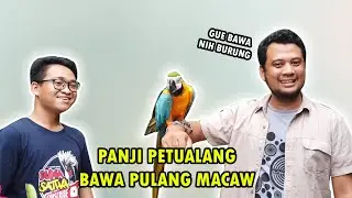 MOMO DITAWAR PANJI PETUALANG 100 JUTA | AUTO PUSIING