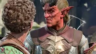 Zevlor has enough of Aradin in Baldur's Gate 3