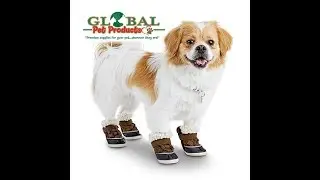 order pet supplies online in\Available Now order pet supplies online