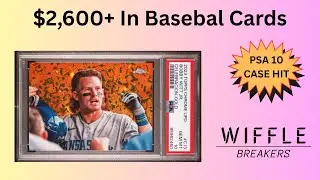 $2,600+ Spent Walking a 400-Table Sports Card Show! Value Box Specials & More!