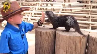 Little OTTER loves HIGH FIVES!! | arizonacobra.com&lrm;