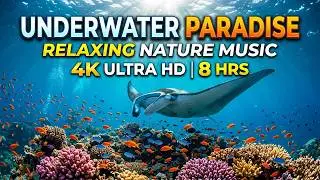 Deep Ocean Whisper 🌌 &bull; Soothing Relaxation Music for Sleep 😴 &bull; Calm Waves and Ambient Echo 🌊