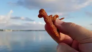 Perky Jerky Turkey Review - Better than I thought