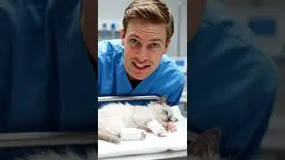 #SadCat #SickCat #SaveTheCat #PrayForCat  #CatNeedsHelp #HelpThisCat