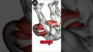 Happy Baby Pose Workout #shorts #youtubeshorts