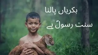 spring collection 2023 travel to KPK Pakistan Beautiful province of Pak 🇵🇰people's farming a goat's