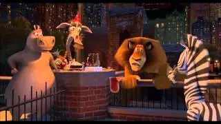 Madagascar 1 ~ L'anniversaire de Marty