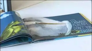 SNN: Ringling alum brings his book to school