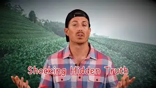 Unbelievable Stories That Turned Out to Be True - MrBallen Podcast Stories