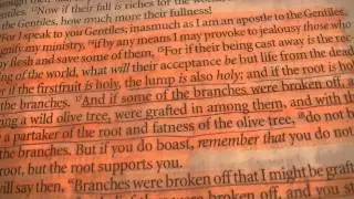 Romans 11:13-21 and how we as Gentiles are grafted in as Jews