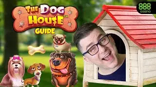 A Step-By-Step Guide To The Dog House Slot
