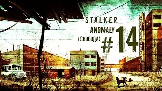 S.T.A.L.K.E.R. Anomaly #14 (Свобода)