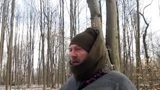 Woodland Plants for Winter Survival, Food and Medicine