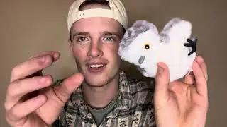 Watch BEFORE You Buy This Flapping Bird Cat Toy - Review