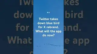 Twitter Takes Down Blue Bird for 'X' Rebrand. What will the app do now?