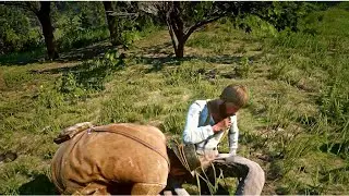 How Arthur sucked out the venom 🐍 - RDR2 Random Encounters