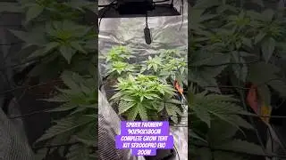 Spider Farmer&reg; 90X90X180cm Complete Grow Tent Kit SF2000PRO EVO 200W  #crazybud #420 #growled